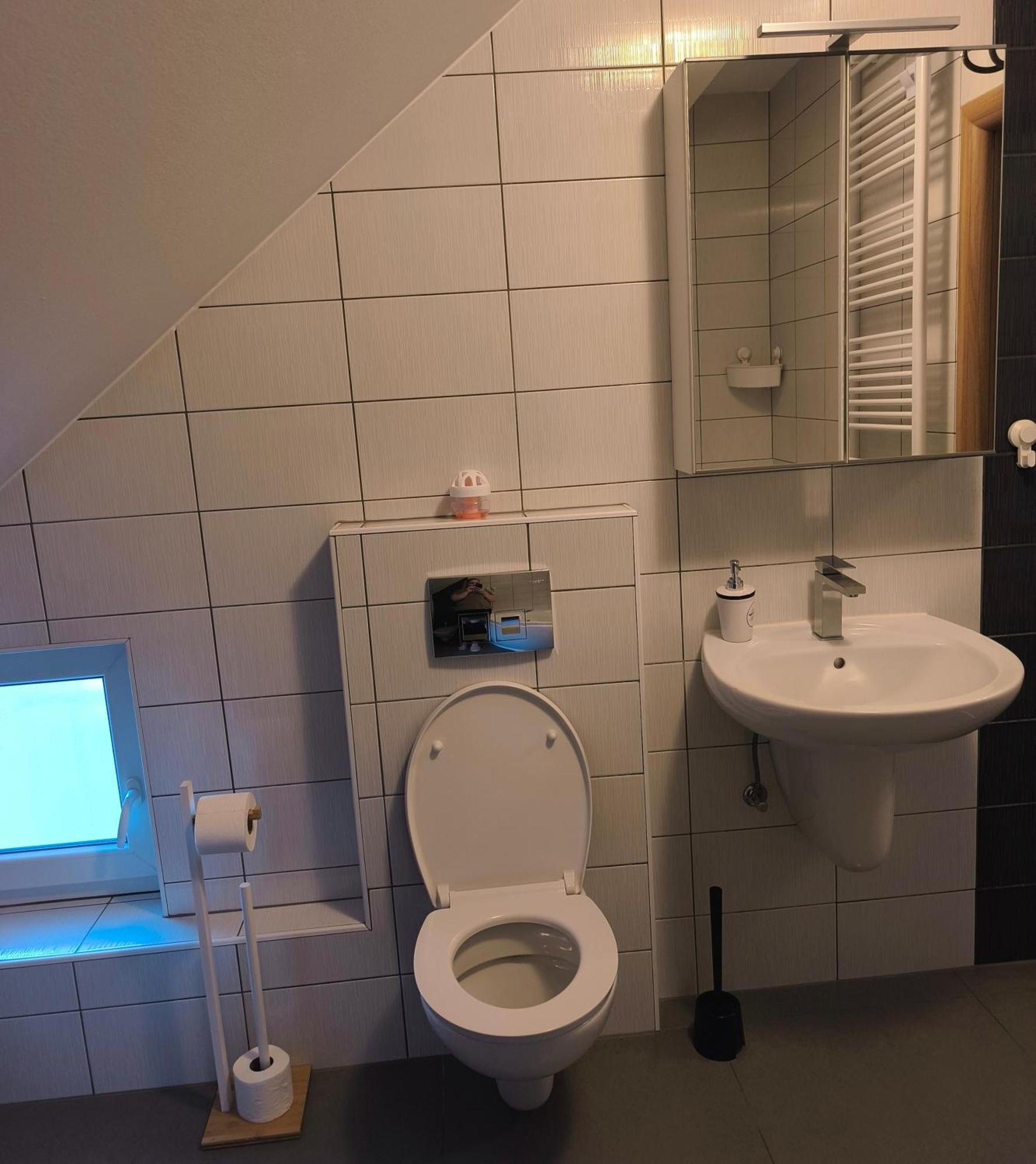 Apartment Cedar Zagreb Airport - Velika Gorica Scitarjevo Eksteriør bilde